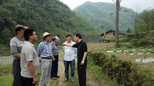 岚皋:成长的光华园区-安康市林业局