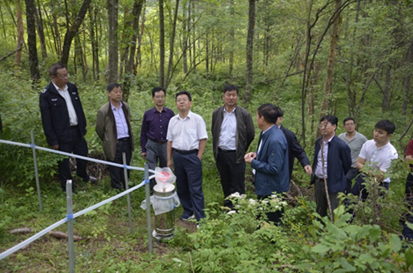 国家林草局资源司长徐济德调研指导我市森林抚育工作-安康市林业局